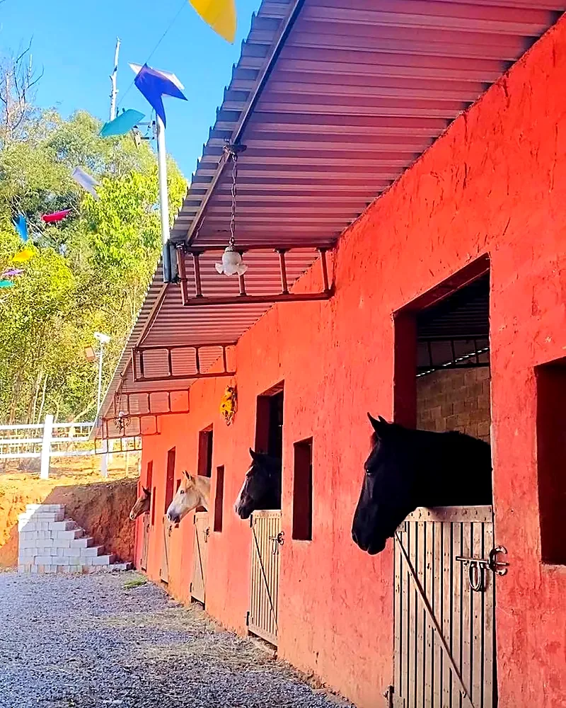 Baias do Horse Hotel, com cavalos olhando pelas janelas da parede vermelha